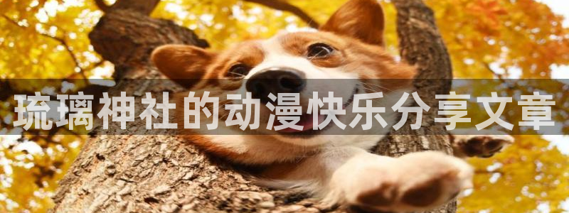囧次元app正版下载官网：琉璃神社的动漫快乐分享文章
