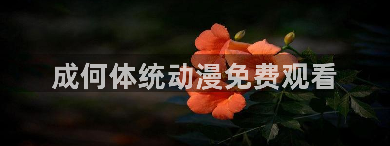 囧次元tv版：成何体统动漫免费观看