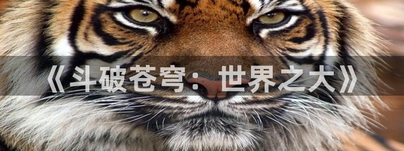 囧次元官方网站入口官网在线观看：《斗破苍穹：世界之大》