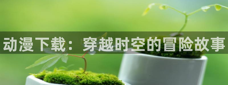 囧次元官网：动漫下载：穿越时空的冒险故事