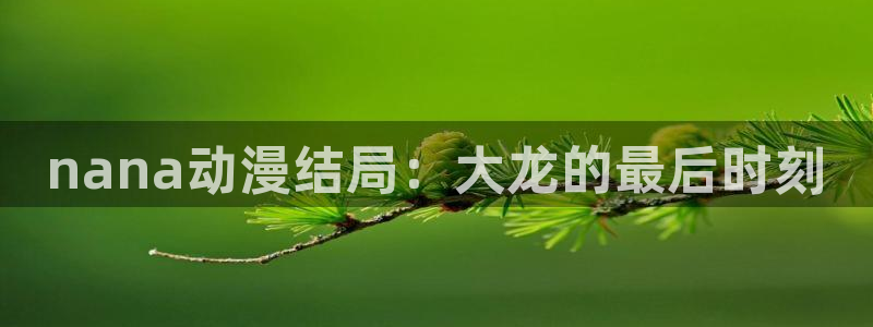 囧次元官方网站下载：nana动漫结局：大龙的最后时刻