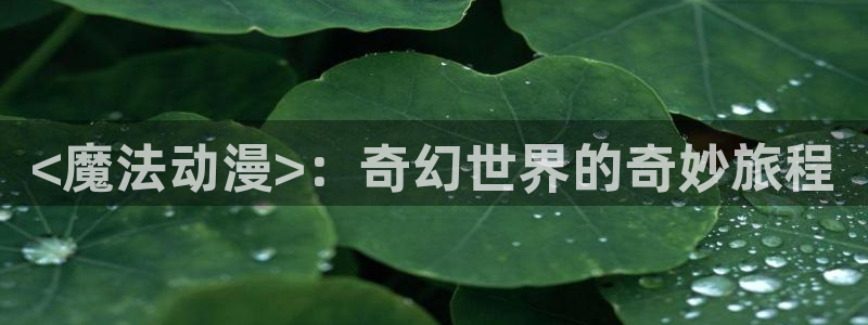 囧次元网页版进入：<魔法动漫>：奇幻世界的奇妙旅程