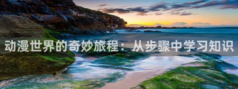 囧次元.apk：动漫世界的奇妙旅程：从步骤中学习知识