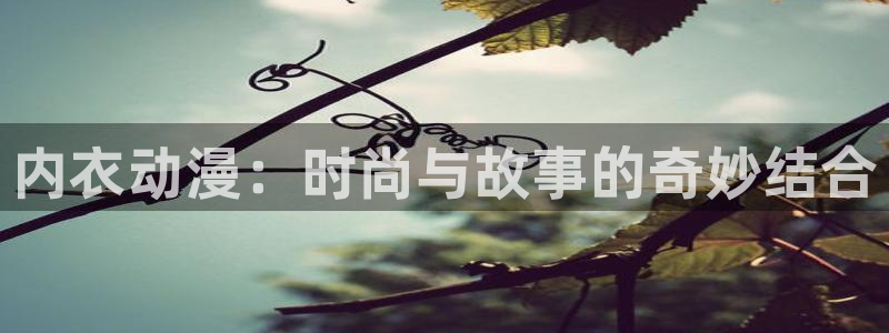 囧次元下载最新：内衣动漫：时尚与故事的奇妙结合