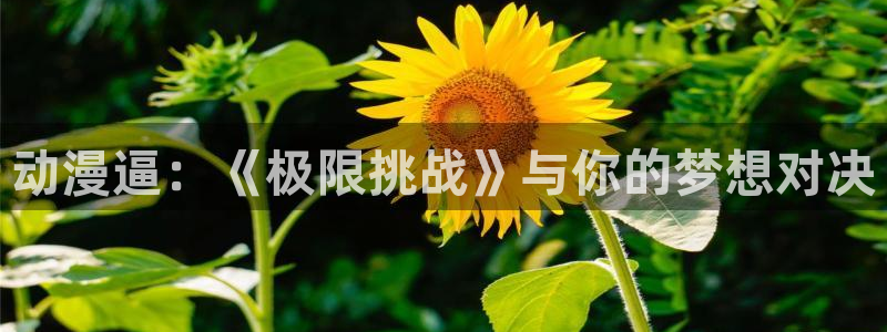 囧次元app下载官方最新：动漫逼：《极限挑战》与你的梦想对决