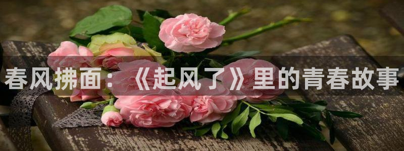 囧次元官方下载：春风拂面：《起风了》里的青春故事