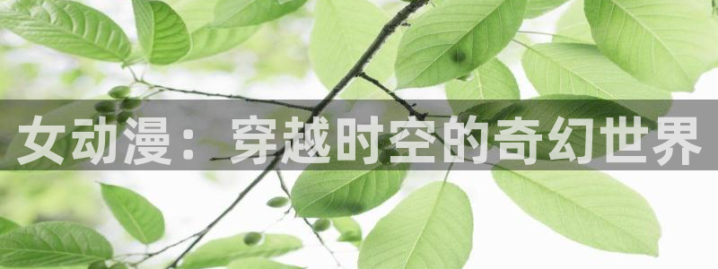 囧次元最新：女动漫：穿越时空的奇幻世界